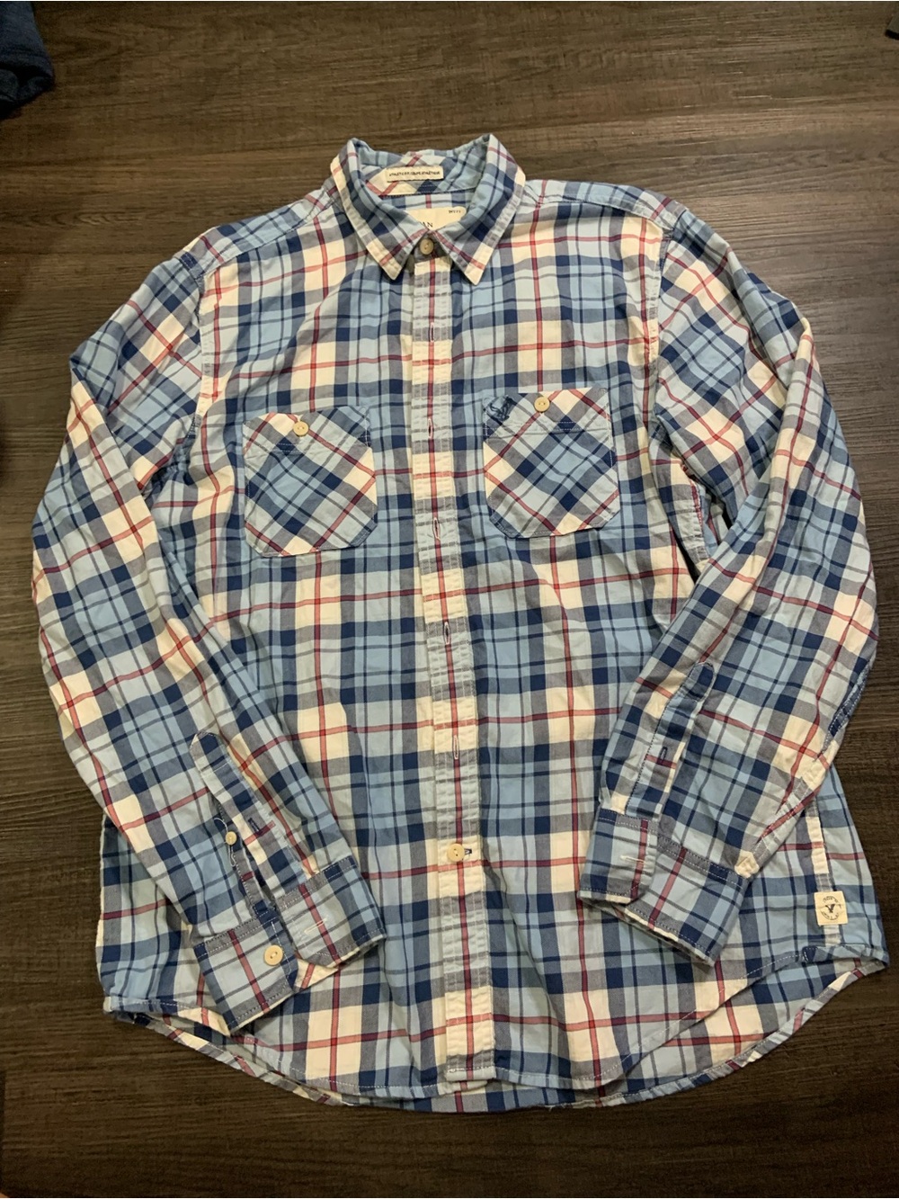 American Eagle Outfitters Blue and White Plaid Button-Down Shirt